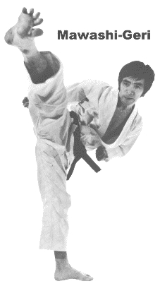 mawashi-geri